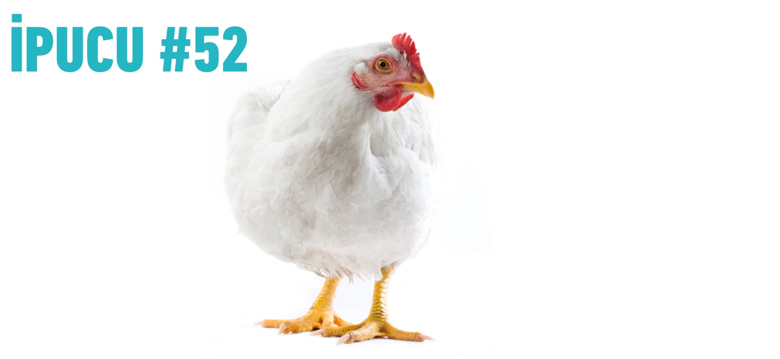 İPUCU #52: Tavuk Kafesi Sendromu ve Alışkanlıkların Gücü