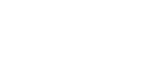 Anadolu Motor