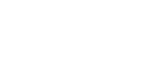 Arkas Holding