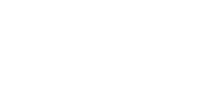 Berlin International University