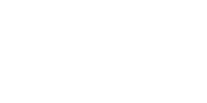 Doğuş Holding