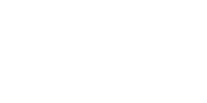 Ford Otosan