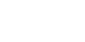 Mobiliz