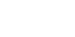 Zorlu PSM